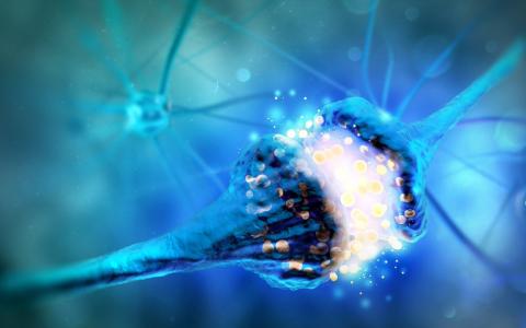 Image showing a synapse 